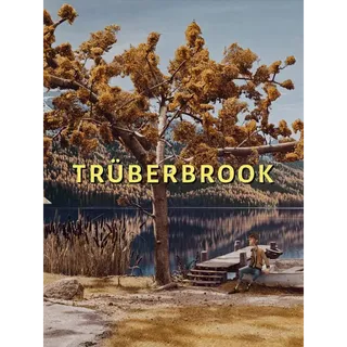 Trüberbrook (Steam)