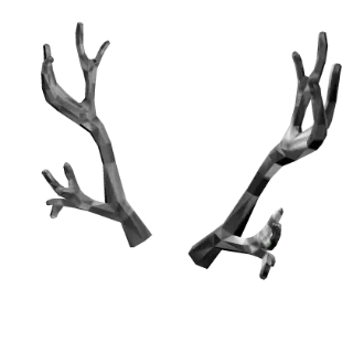 Silverthorn Antlers