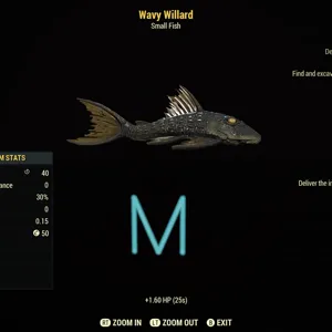 Wavy Willard