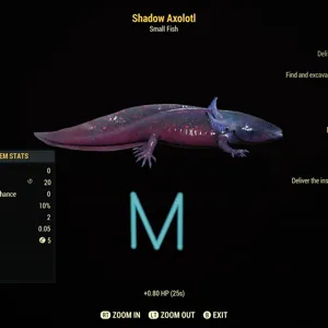 Shadow Axolotl