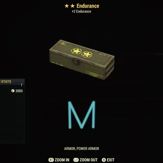 Endurance mods x10