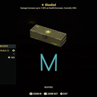 Bloodied mods x25
