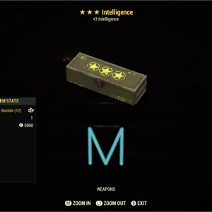 Intelligence mods x5