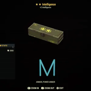 Intelligence mods x5