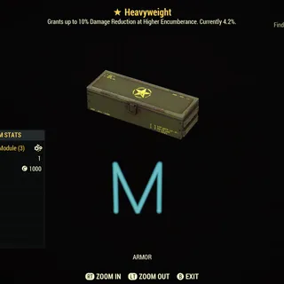 Heavyweight mods x10