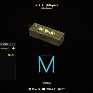 Intelligence Three Star mods x5
