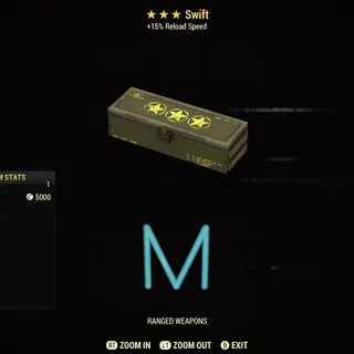 Swift mods x5