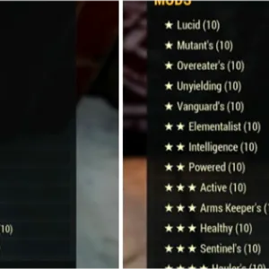 Armor/Weapons Mods x260