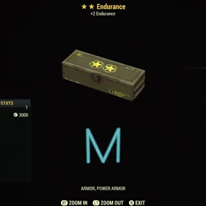 Endurance mods x5