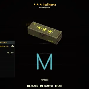 Intelligence mods x5
