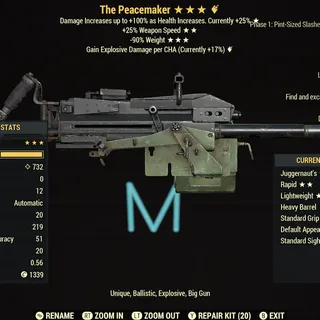 The Peacemaker