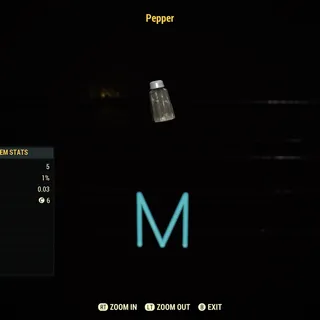 Pepper x1k