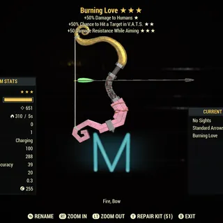 Burning Love Bow x1