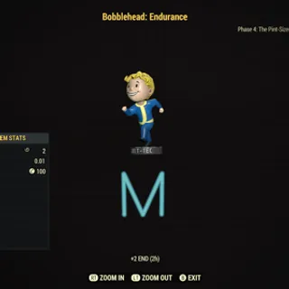 Endurance Bobbles x100