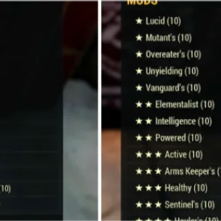 Armor/Weapons Mods x260