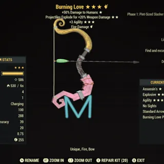 Burning Love
