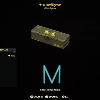Intelligence mods x10