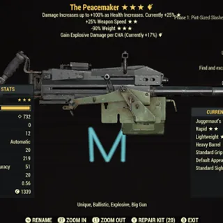 The Peacemaker