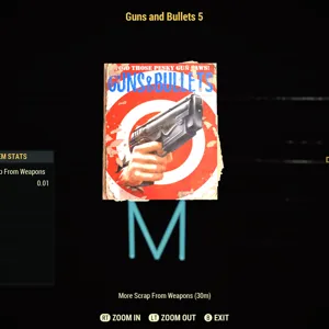 Guns and Bullets 5 x100