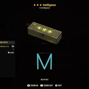 Intelligence mods x5