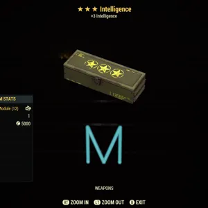 Intelligence mods x5