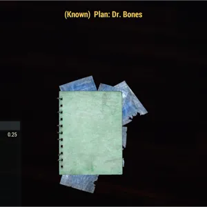 Dr. Bones plan