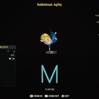 Agility Bobbles x100