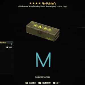 Pin-Pointers mods x2