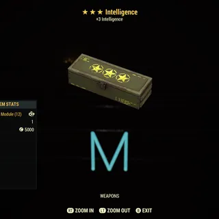 Intelligence mods x5