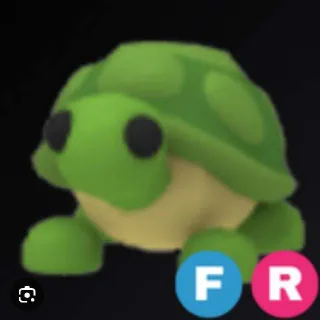 Fr Turtle