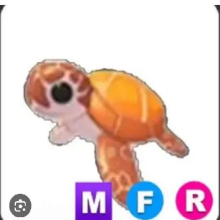 Mfr Ses Turtle