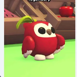 Apple Owl
