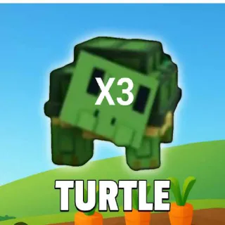Turtle