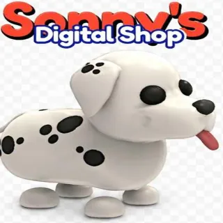 Fr Dalmatian