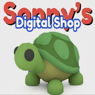 Fr Turtle