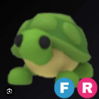 Fr Turtle