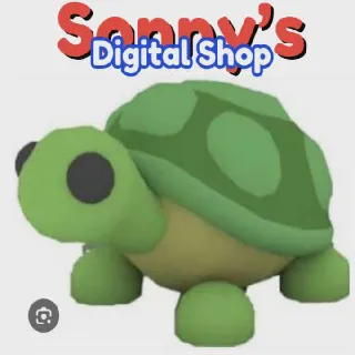 Fr Turtle