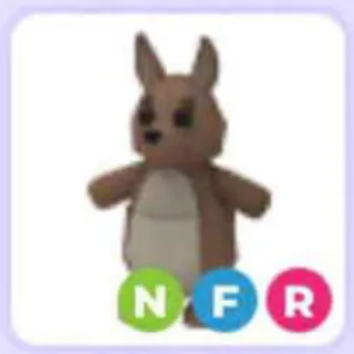 Nfr Kangaroo Instock