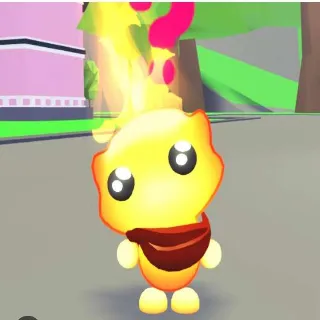 Emberlight