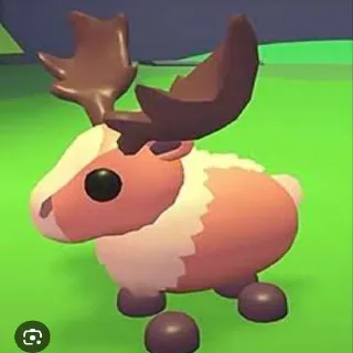 R Papa Moose
