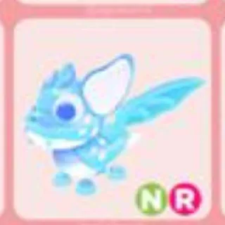 Nr Arctic Dusk Dragon