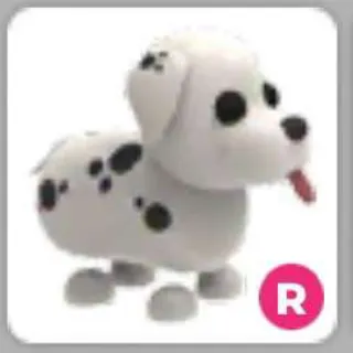 R Dalmatian