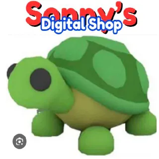 Fr Turtle