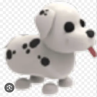 Fr Dalmatian