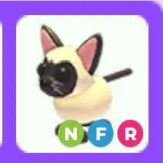 Nfr Siamese Cat