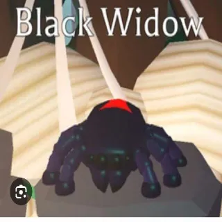 3x Black Widow