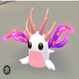 Sea Slug