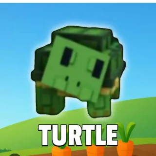 Turtle