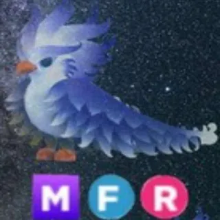 Mfr Frost Phoenix