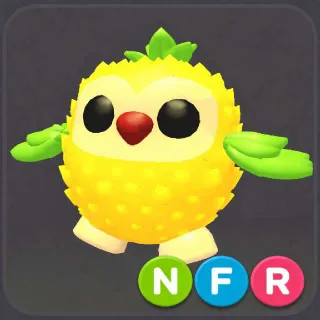 Nfr Pineapple Owl